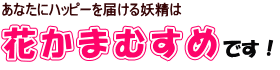 花かまむすめです!